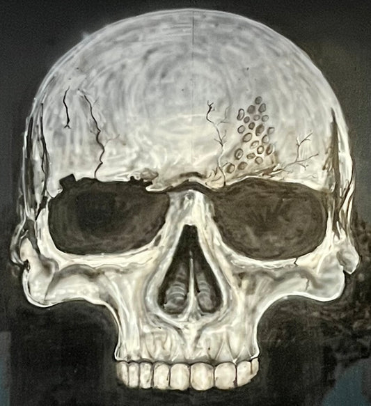 Skull Wall Mural